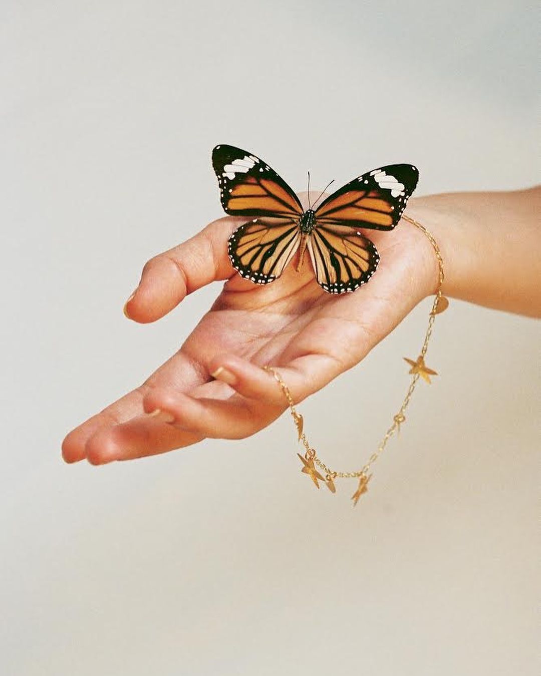 Orange and black butterfly rests on a person's outstretched hand, adorned with a gold charm bracelet against a neutral background.