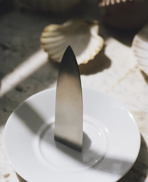 Shiny silver knife stands upright on a white plate with scallop shells scattered in the background creating a minimalist food still life.