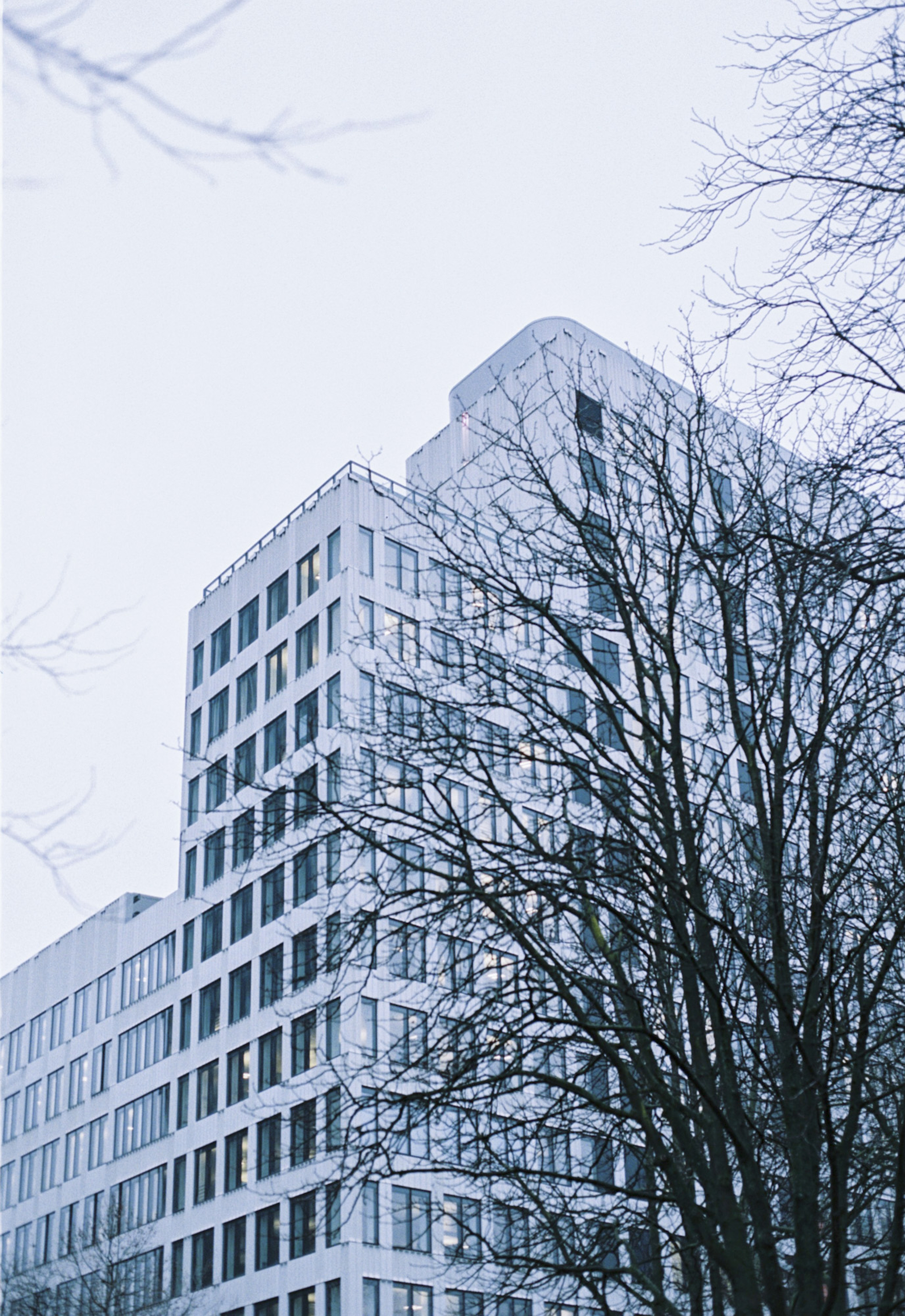 Modern white high-rise building viewed from below with bare tree branches framing the foreground under a pale sky
