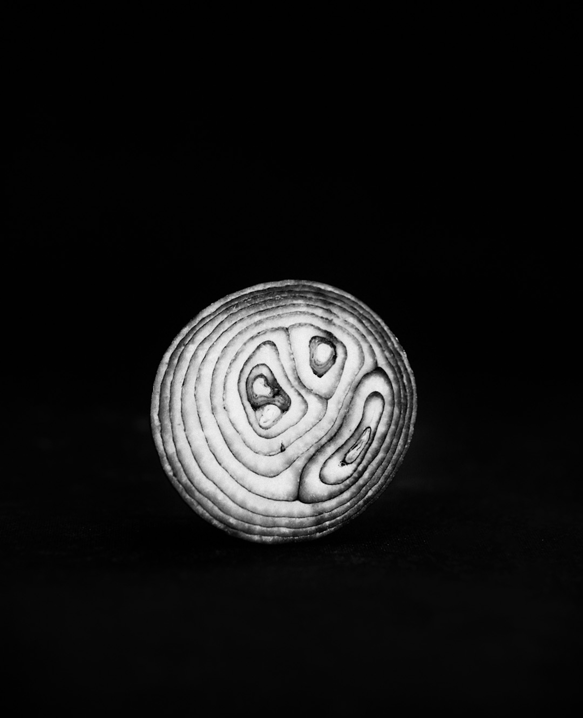 Monochrome shot of a halved onion with visible concentric layers set against a stark black background, creating a striking visual.