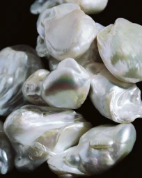 Macro shot of lustrous baroque pearls with iridescent surfaces against a dark black background
