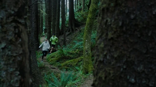 Two people running on a wooded trail surrounded by tall trees and lush green foliage in a natural outdoor setting. Forest trail run.