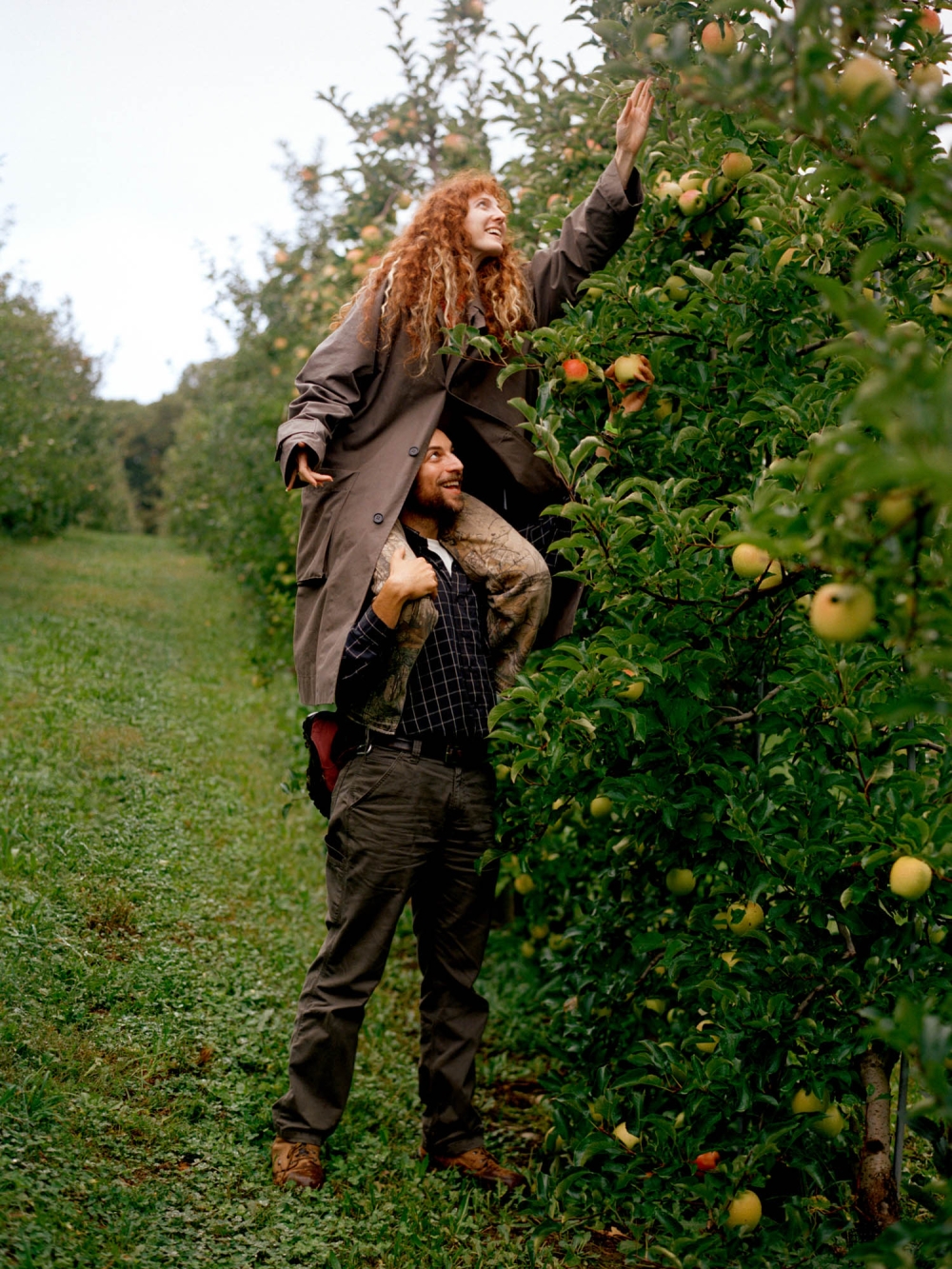 A woman on a man's shoulders reaches for apples in an orchard under an overcast sky in a full shot.