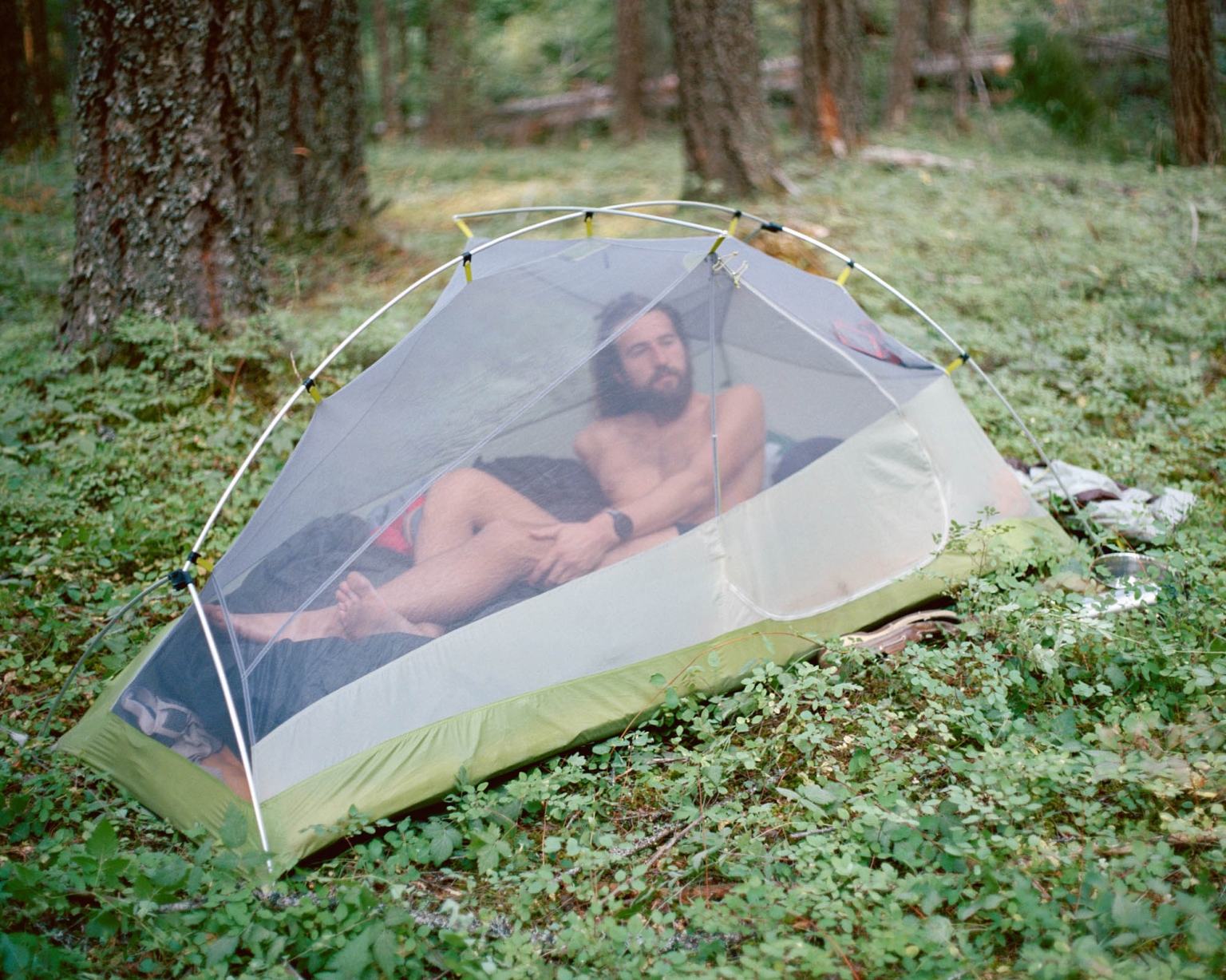 Bearded man resting in a tent outdoors surrounded by green forest foliage, lit by natural light, creating a serene atmosphere.