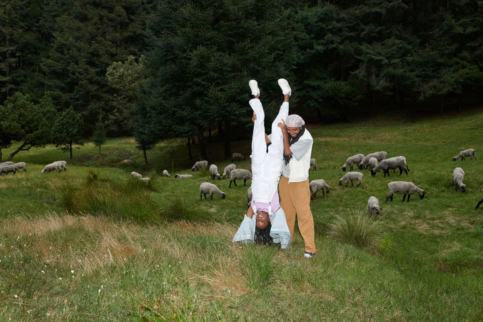 A woman in white clothes is held upside down by a man in a field of grazing sheep with a forest in the background on a sunny day.