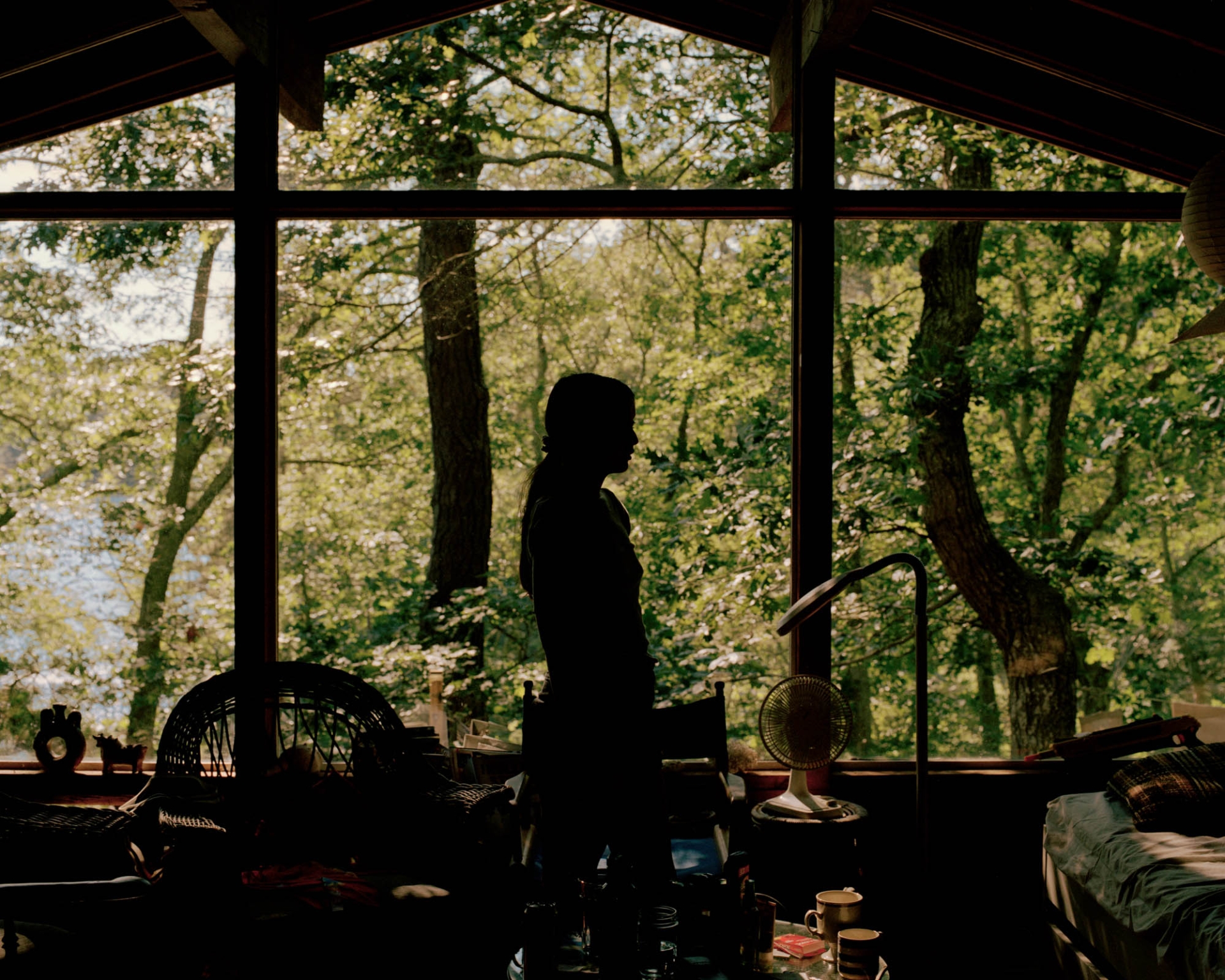 Person stands silhouetted against a large window offering a lush outdoor view, inside a room filled with furniture and various household items.