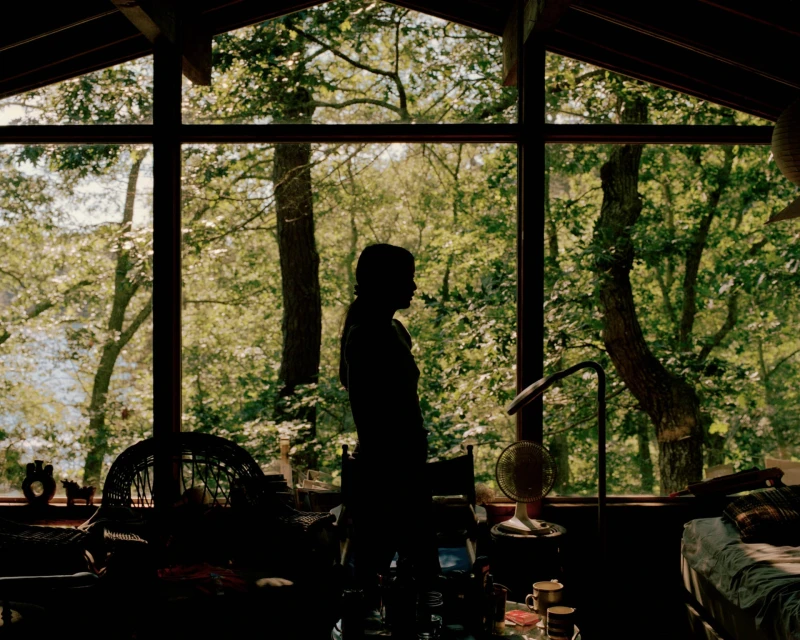 Person stands silhouetted against a large window offering a lush outdoor view, inside a room filled with furniture and various household items.