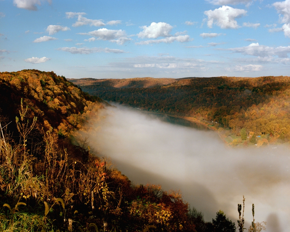 Scenic overlook of a forested valley filled with low-lying fog under a blue sky with fluffy clouds, showcasing autumn foliage and natural beauty.