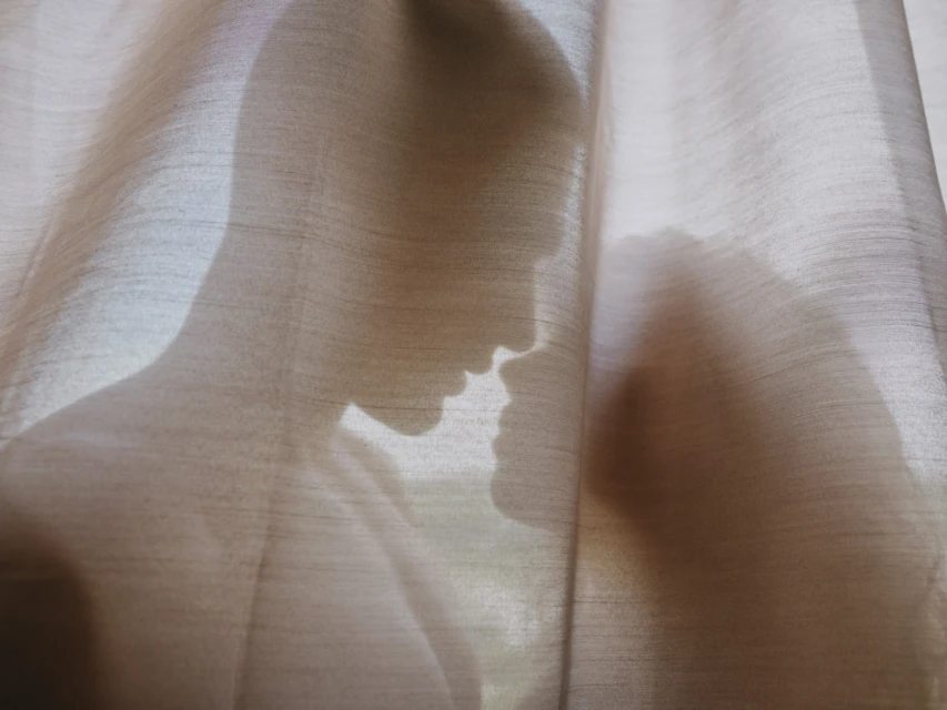 Silhouetted figures of a man and woman stand face to face behind a gauzy curtain, their faces near, soft lighting, and intimate setting.