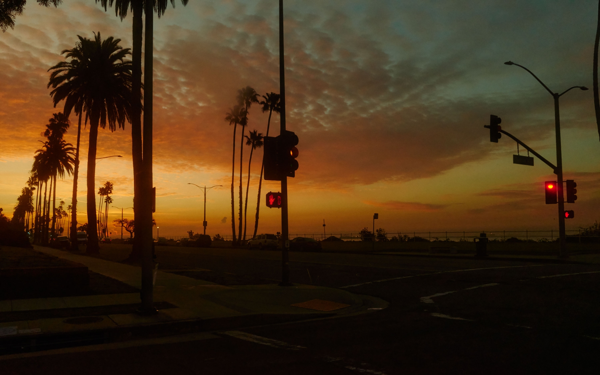 Scenic sunset with palm trees and city street lights casting long shadows; golden sky meets the horizon over the urban environment.