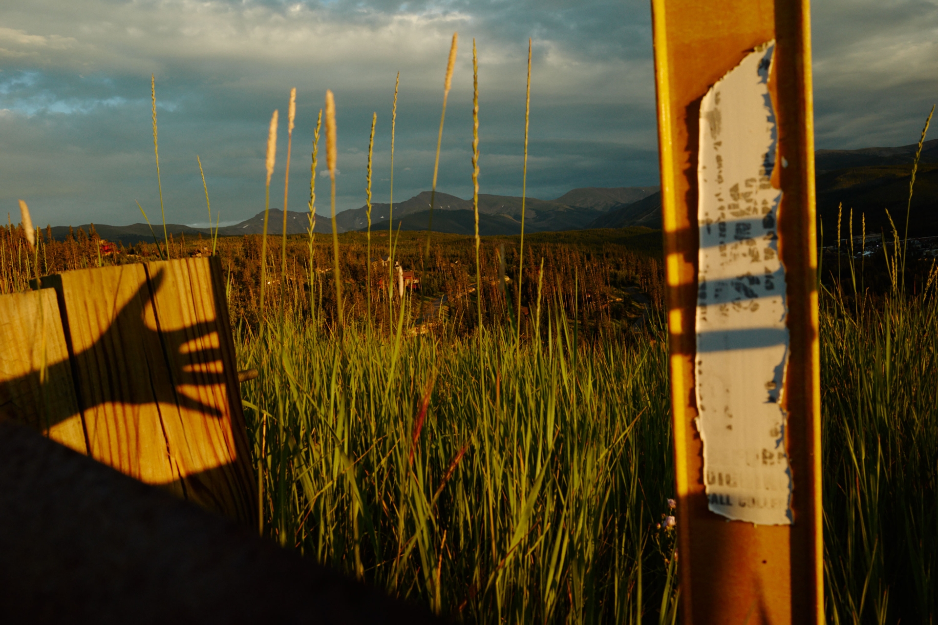 Scenic view of tall grass in a field under a cloudy sky, featuring a wooden fence, a shadowed hand, and mountains in the background.