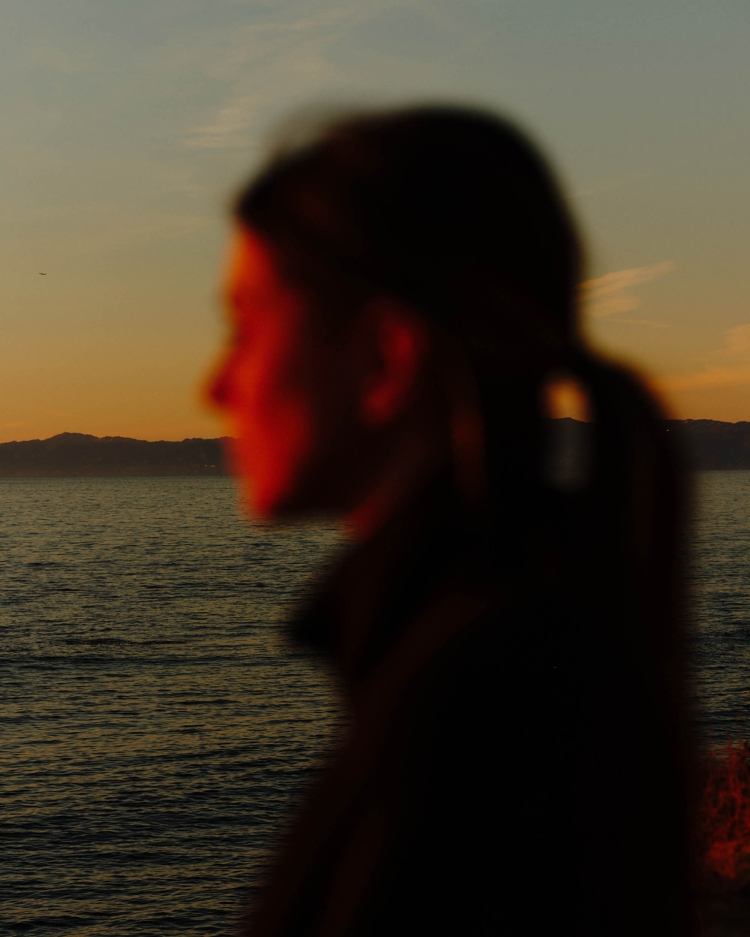 Out of focus profile of a person against an ocean horizon during a sunset by Brad Torchia