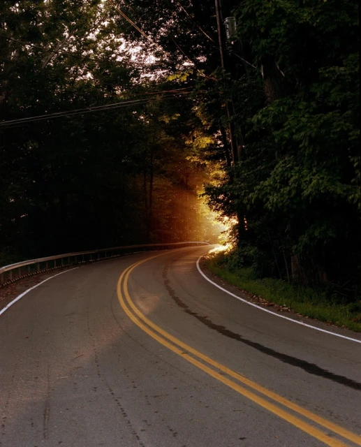 Winding road curves through lush forest with warm sunlight peeking through trees, illuminating the asphalt and guiding the path.