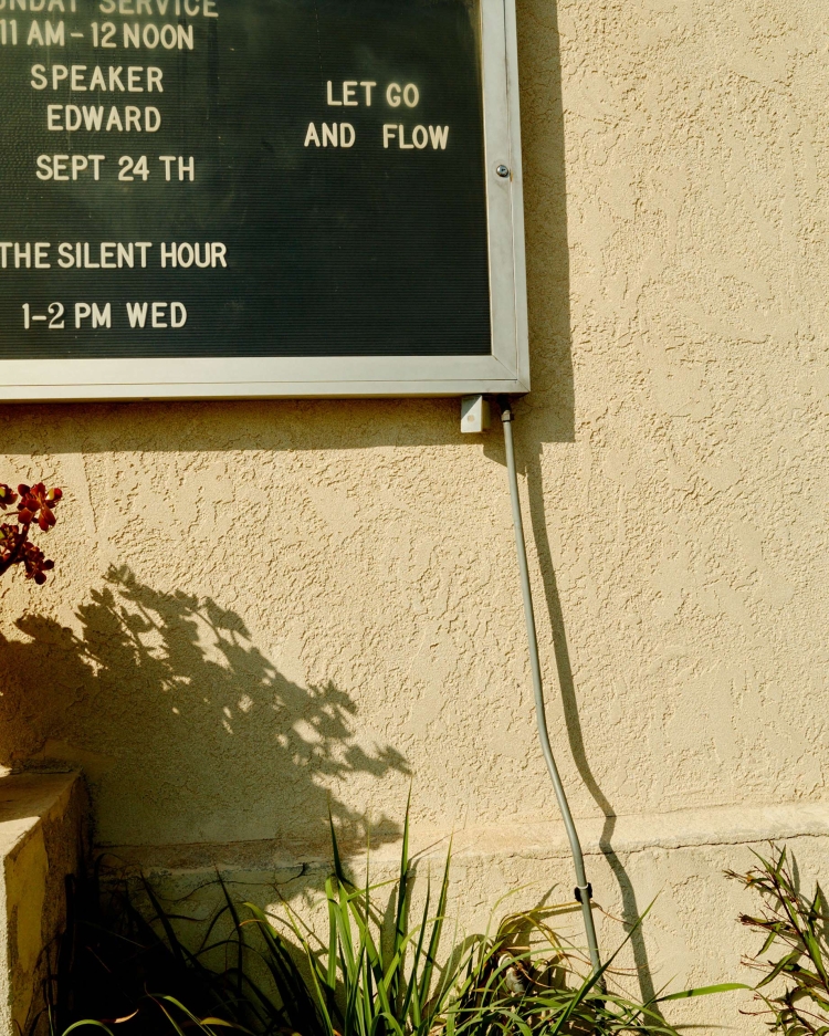 Close-up of a dark message board on a textured beige stucco wall with leafy shadows and a thin conduit pipe.