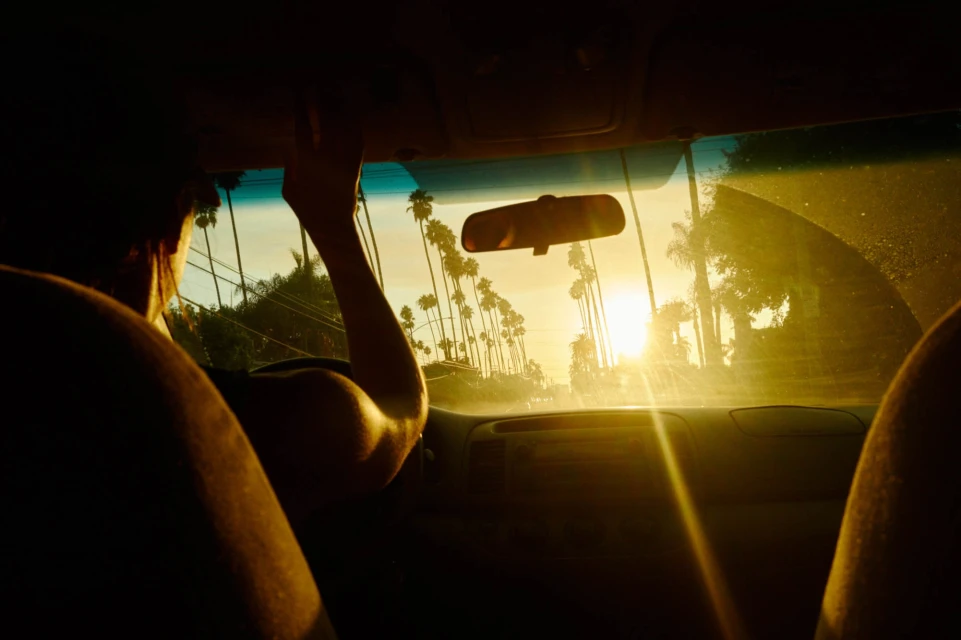 View from inside car shows adult driving toward bright sun on palm tree-lined street. Interior view with strong light creates warm glow.