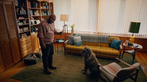 Adult man standing and holding a cellphone looking at a dog in a home interior setting with a sofa, lamp, and bookshelf.