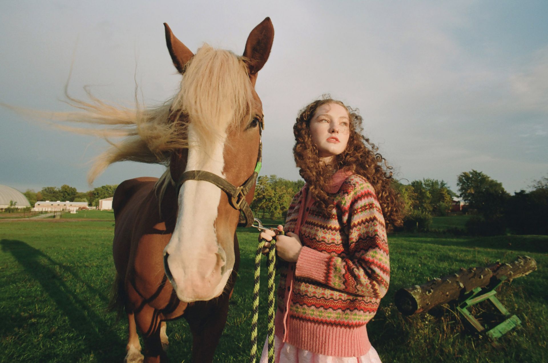 A young adult female stands next to a brown horse in a green field on a sunny day, wearing a patterned sweater and holding the horse's lead.