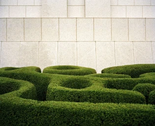 A close view of meticulously trimmed green topiary hedge rows set against a pale stone block wall, captured in Los Angeles.