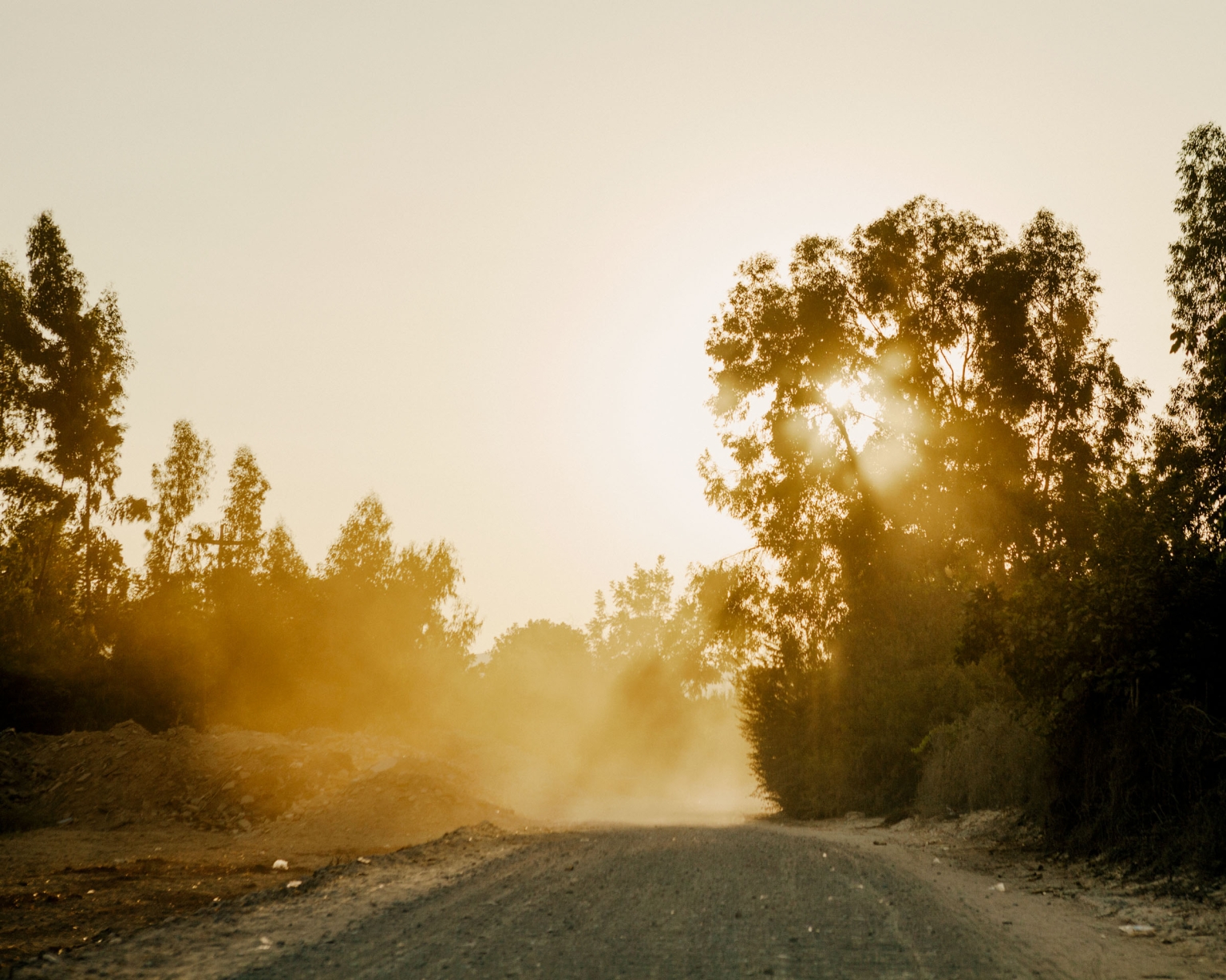 Sunlit dirt road lined with trees, creating a hazy and warm atmosphere. Golden light filters through the trees, dust particles suspended in air.