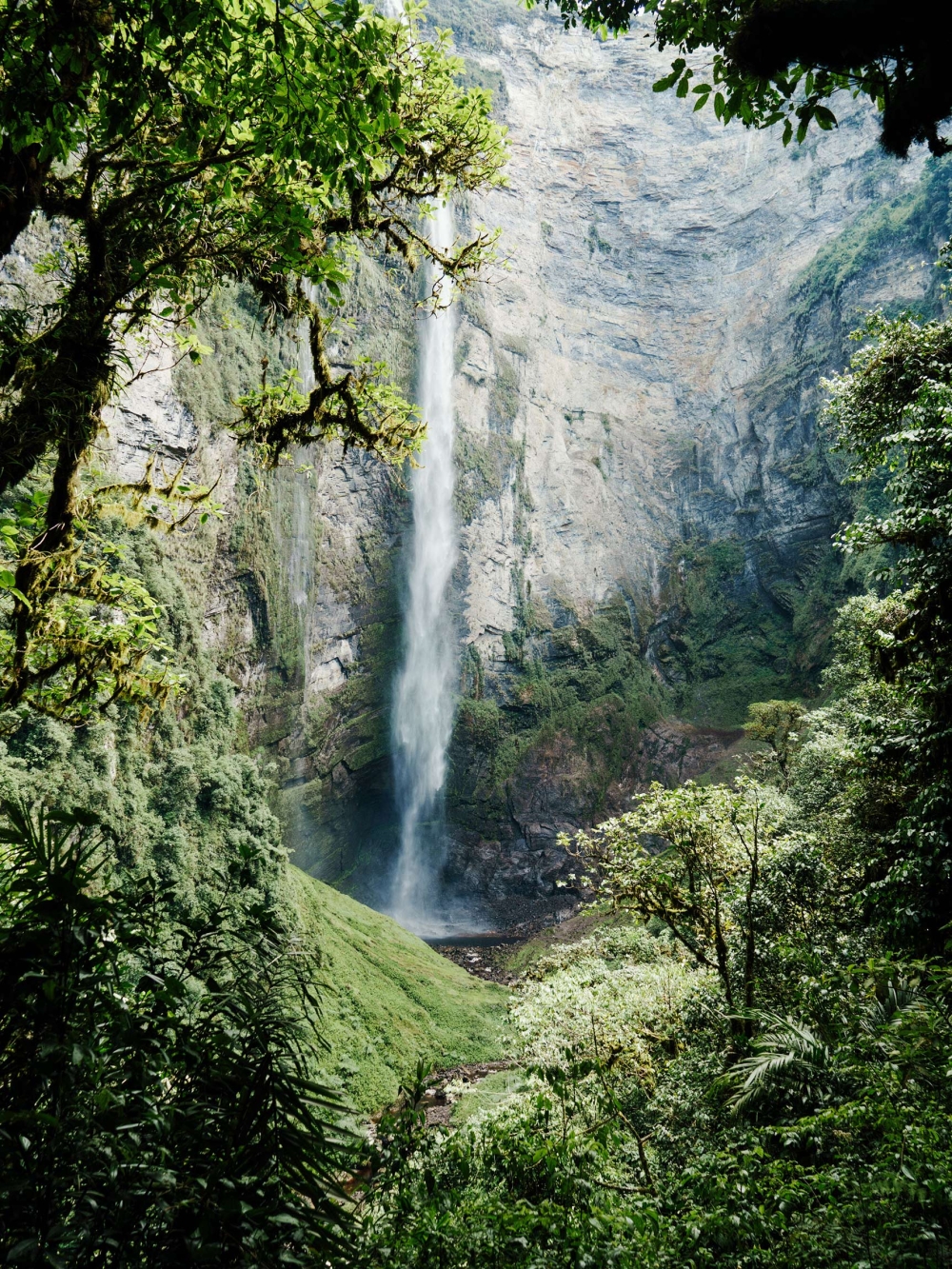 Dramatic long-distance view of Tumpak Sewu Waterfall cascading down a steep rock face, framed by lush green foliage and vibrant plant life.