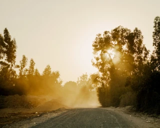 Dusty dirt road stretching into the distance beneath a bright sunlit sky with surrounding trees