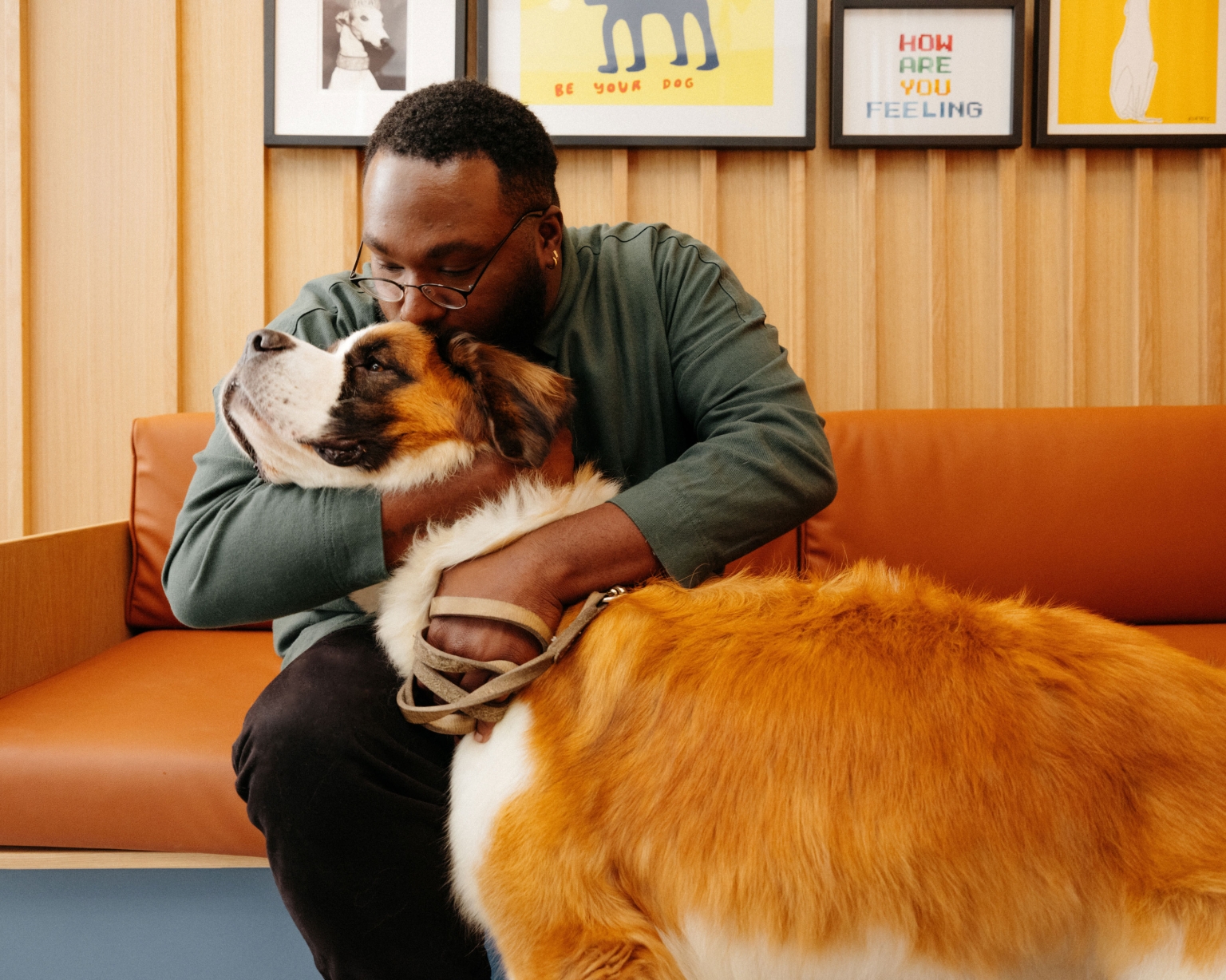 Man embraces large dog indoors with orange couch, framed posters with dog theme, and wooden wall, displaying a heartwarming scene.