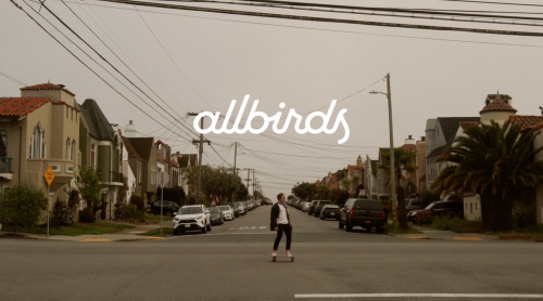 Wide shot of a man skateboarding on a street in a neighborhood of houses under an overcast sky, with the Allbirds logo at the top.