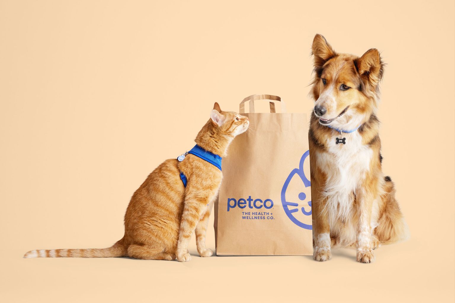 A cat wearing a blue harness sits next to a dog and a Petco bag against a peach backdrop in a studio setting, advertising pet wellness.