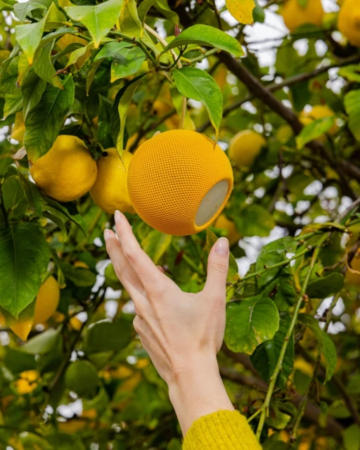 Close-up of a hand reaching for a yellow-orange speaker hanging among lemons on a tree branch with leaves in an outdoor setting.
