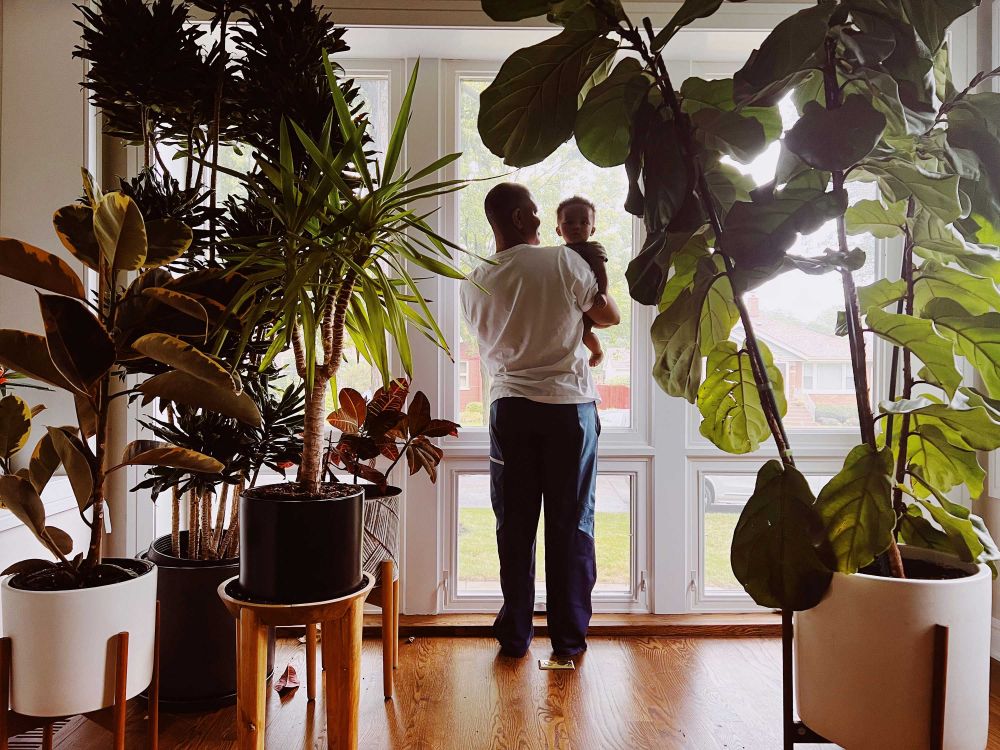 A father holds his child in an indoor setting filled with potted plants, standing in front of a bright window, creating a peaceful atmosphere.