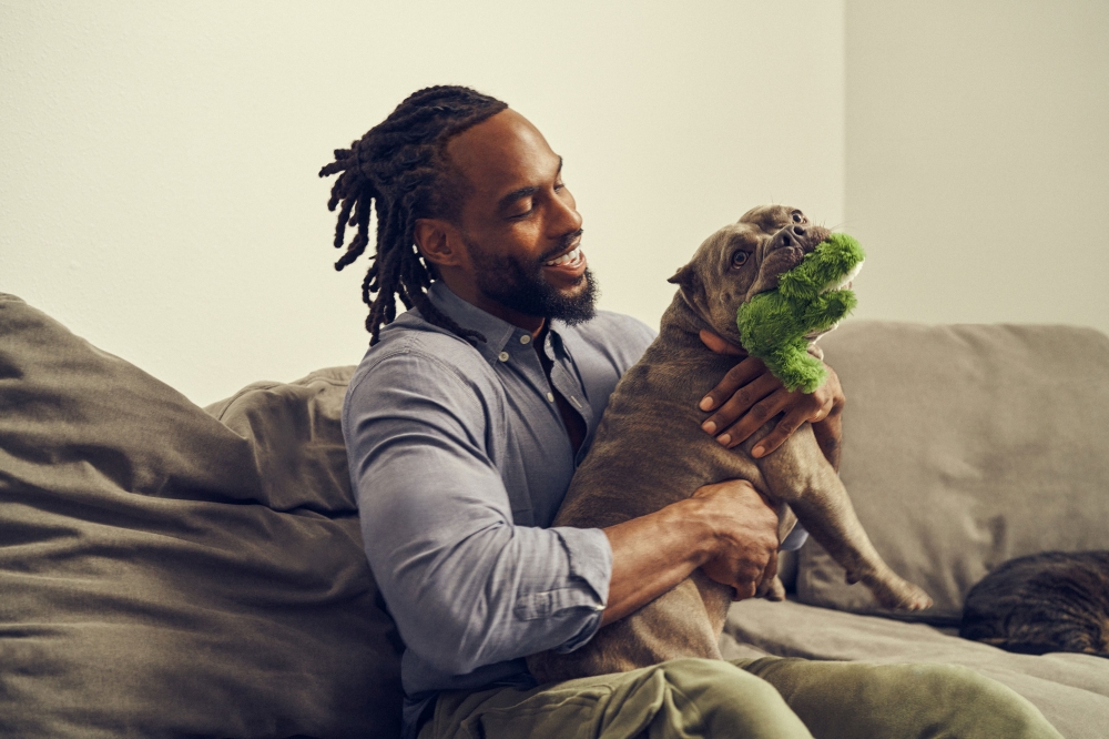 An African-American man sits indoors on a gray couch and hugs a gray pitbull that is chewing on a green alligator dog toy.