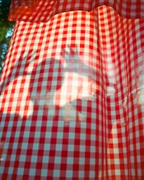 Red and white checkered fabric with shadows of hands projected from behind
