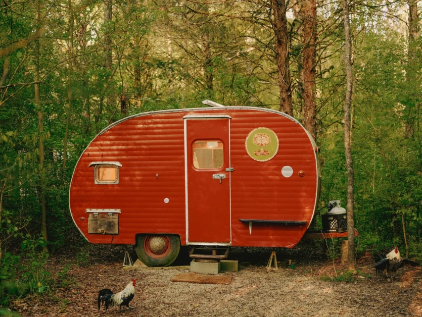 Red retro teardrop camper trailer nestled in the forest with chickens wandering in the yard on a sunny day, travel, camping.