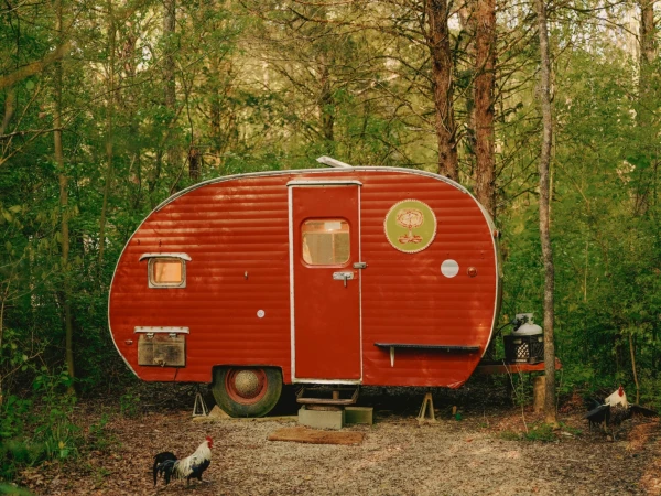 Red retro teardrop camper trailer nestled in the forest with chickens wandering in the yard on a sunny day, travel, camping.