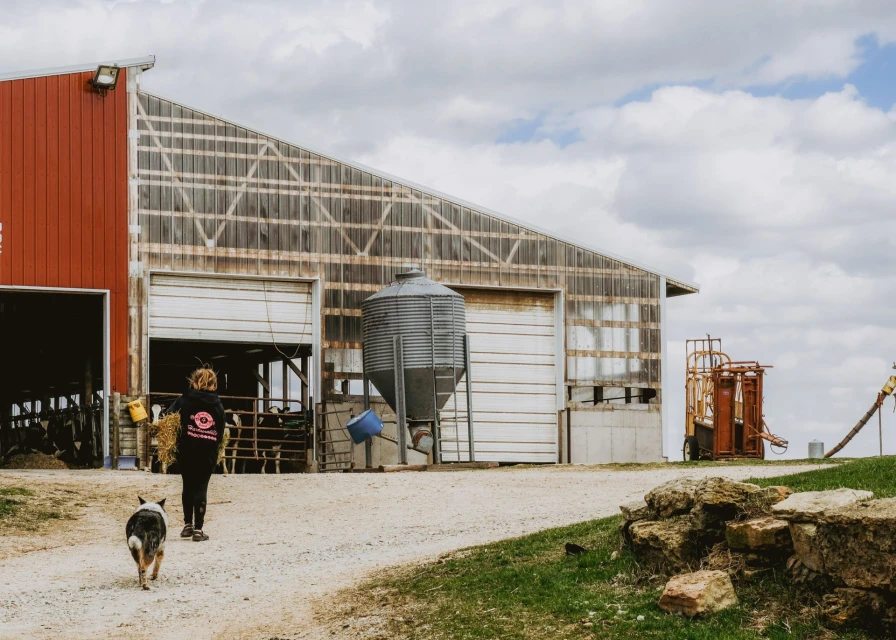 Woman and dog walking toward a large, red farm building with cloudy skies, a rural road, and agricultural equipment.