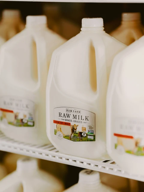 Several jugs of raw milk from a local farm on a metal shelf inside of a refrigerator. Dairy product, grocery store setting.