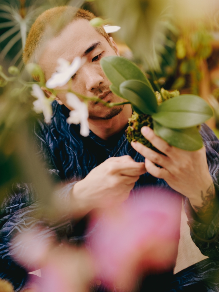 Adult man gently tends to an orchid with green leaves in an indoor setting, with blurred greenery and pink blooms in the foreground.