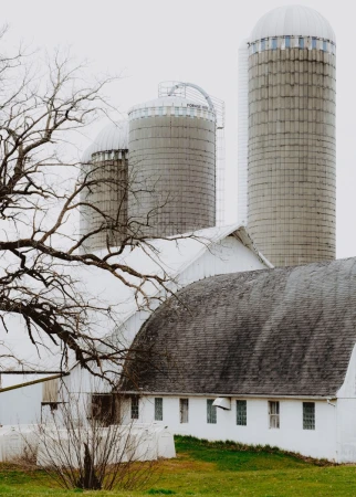 Rural farm scene with white buildings and tall silos under an overcast sky, showcasing agricultural architecture and country landscape.