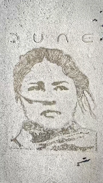 Sketch of a woman's face against a textured background, with 'DUNE' text above; design features a minimalist, grayscale aesthetic.
