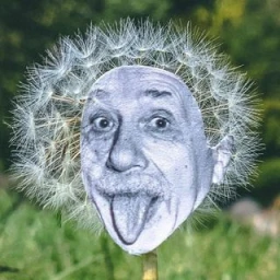 Rudy Willingham
