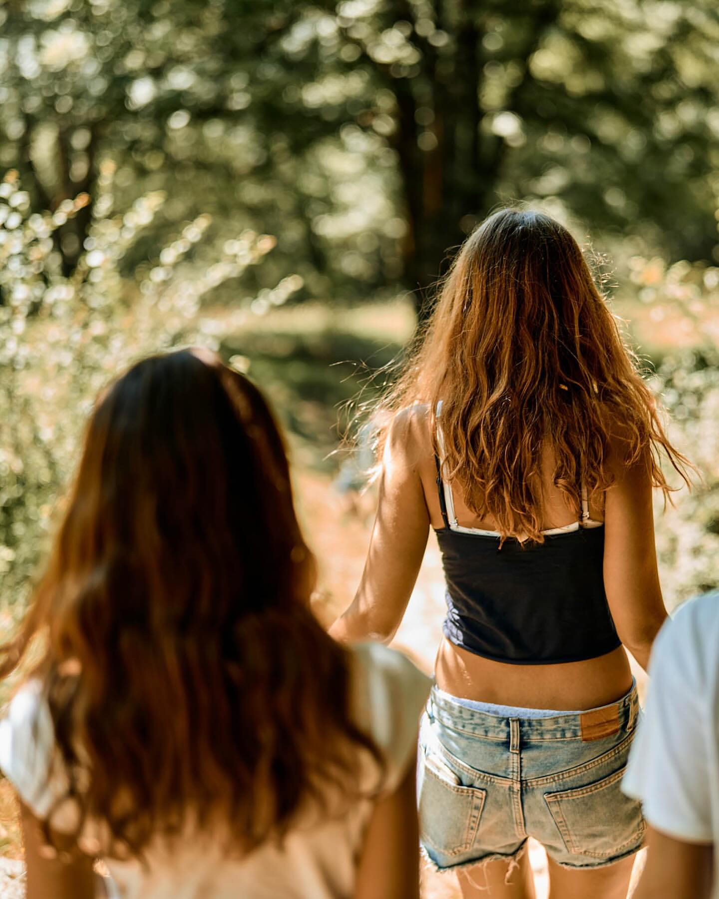 Three young adults walk away down a path, captured from behind. The scene is set outdoors within a lush green forest, bathed in warm sunlight.