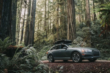 Grey Audi station wagon parked on a dirt path surrounded by towering redwood trees in a dense forest.