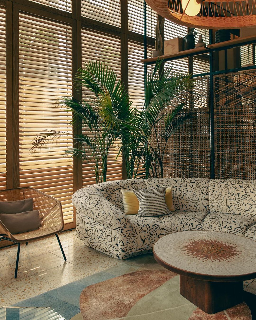 Modern living room interior with patterned sofa, woven chair, and potted plant in front of window with blinds in natural light.