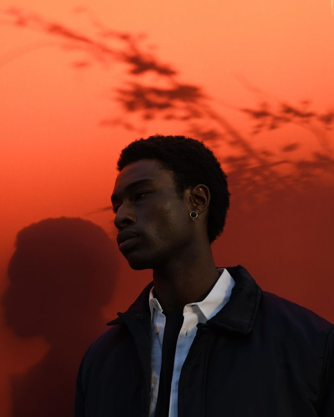 Portrait of a young Black man in jacket and shirt standing against an orange wall with shadow of tree branches in a studio setting.