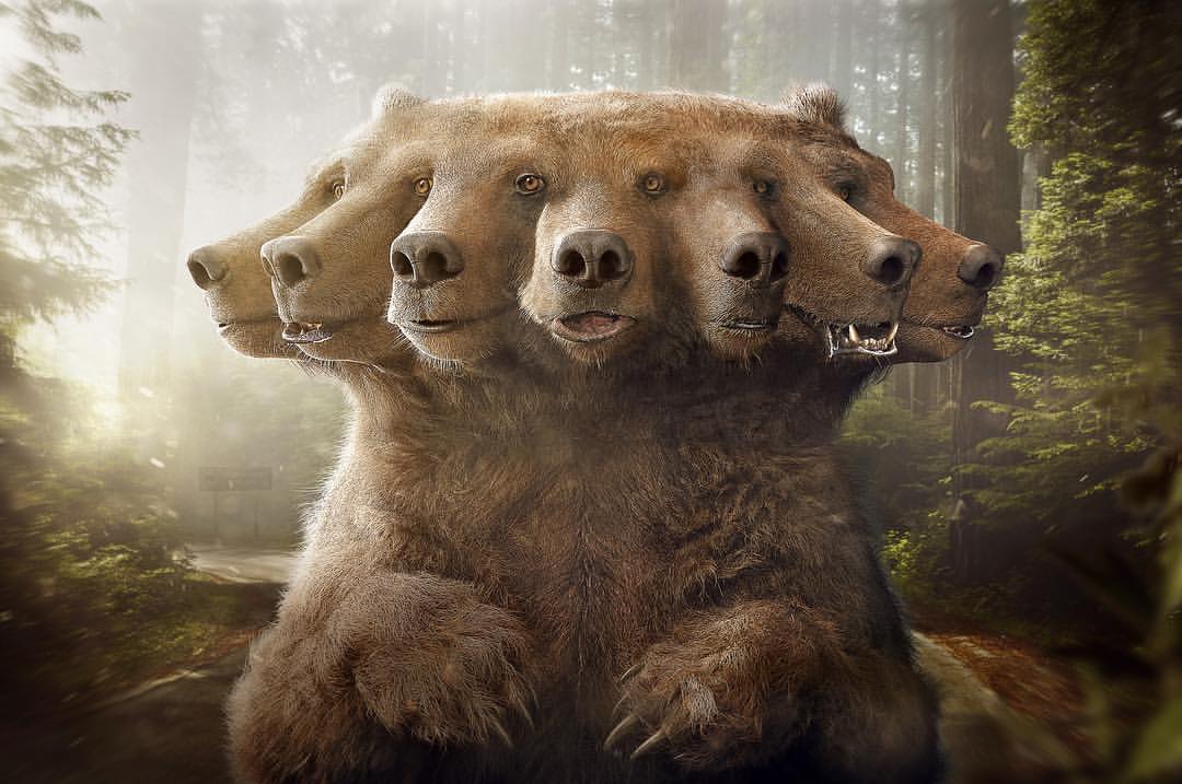 Multiple-headed brown bear with five heads in a forest. Animal with multiple faces in a natural setting, creating a surreal image.