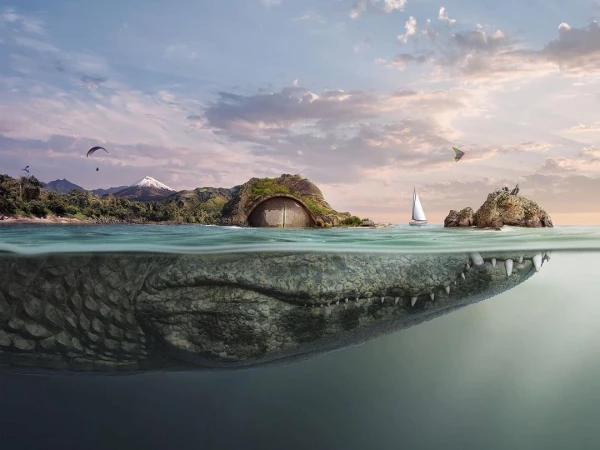 Manipula