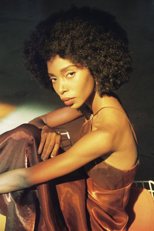 Portrait of an adult Black woman with a large afro hairstyle, wearing a silky slip dress and posing in an indoor studio setting.