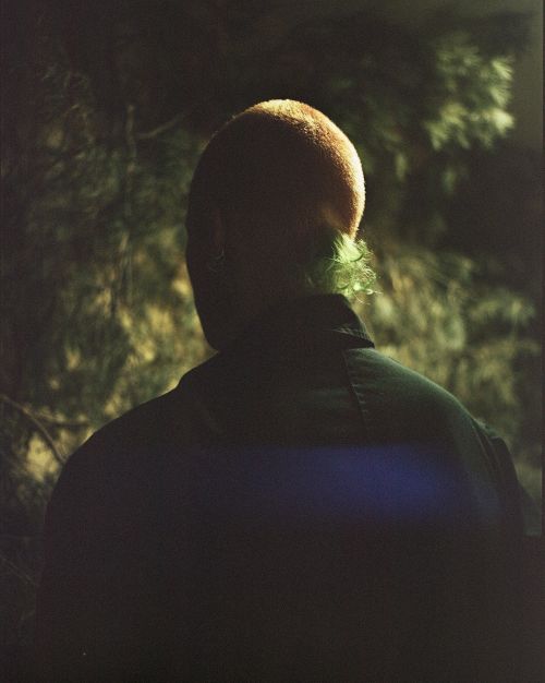 Person with short brown hair faces away from the viewer in a dark outdoor setting with green foliage visible in the background.