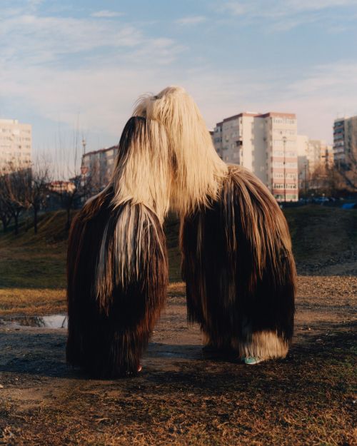 Two people in large, shaggy costumes standing in a park area with buildings in the background on a sunny day.