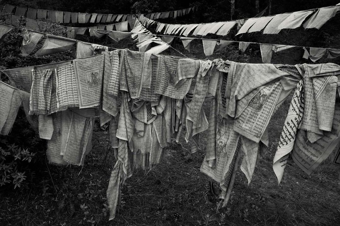 Monochrome image featuring rows of prayer flags strung across a wooded area, creating a serene and spiritual atmosphere.